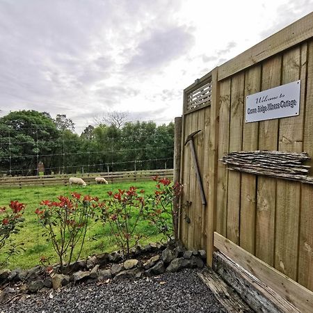 Crown Ridge Miners Cottage Karangahake Екстериор снимка