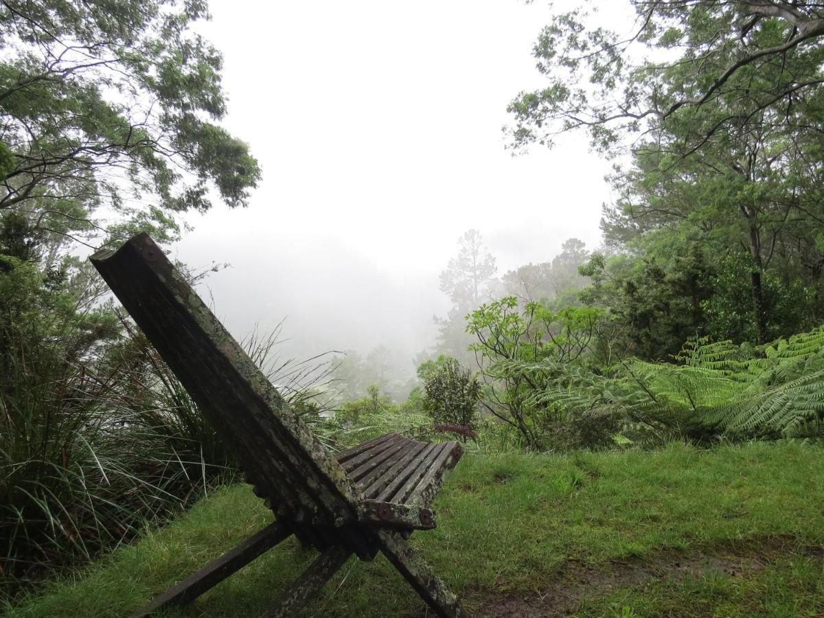 Crown Ridge Miners Cottage Karangahake Екстериор снимка