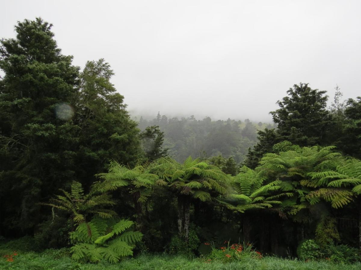 Crown Ridge Miners Cottage Karangahake Екстериор снимка