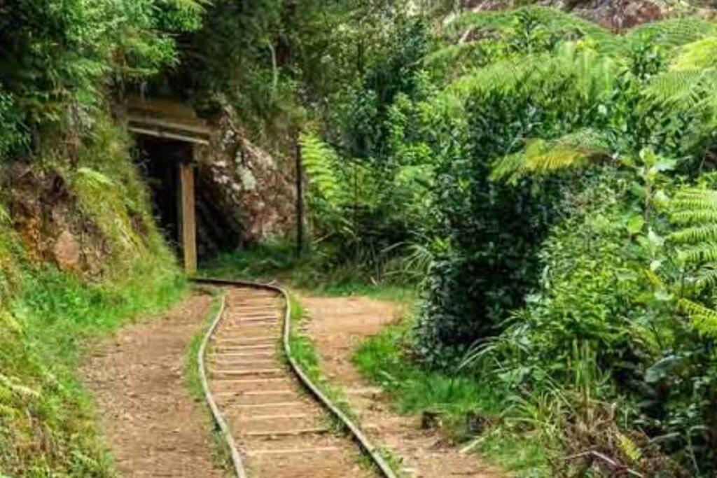 Crown Ridge Miners Cottage Karangahake Екстериор снимка