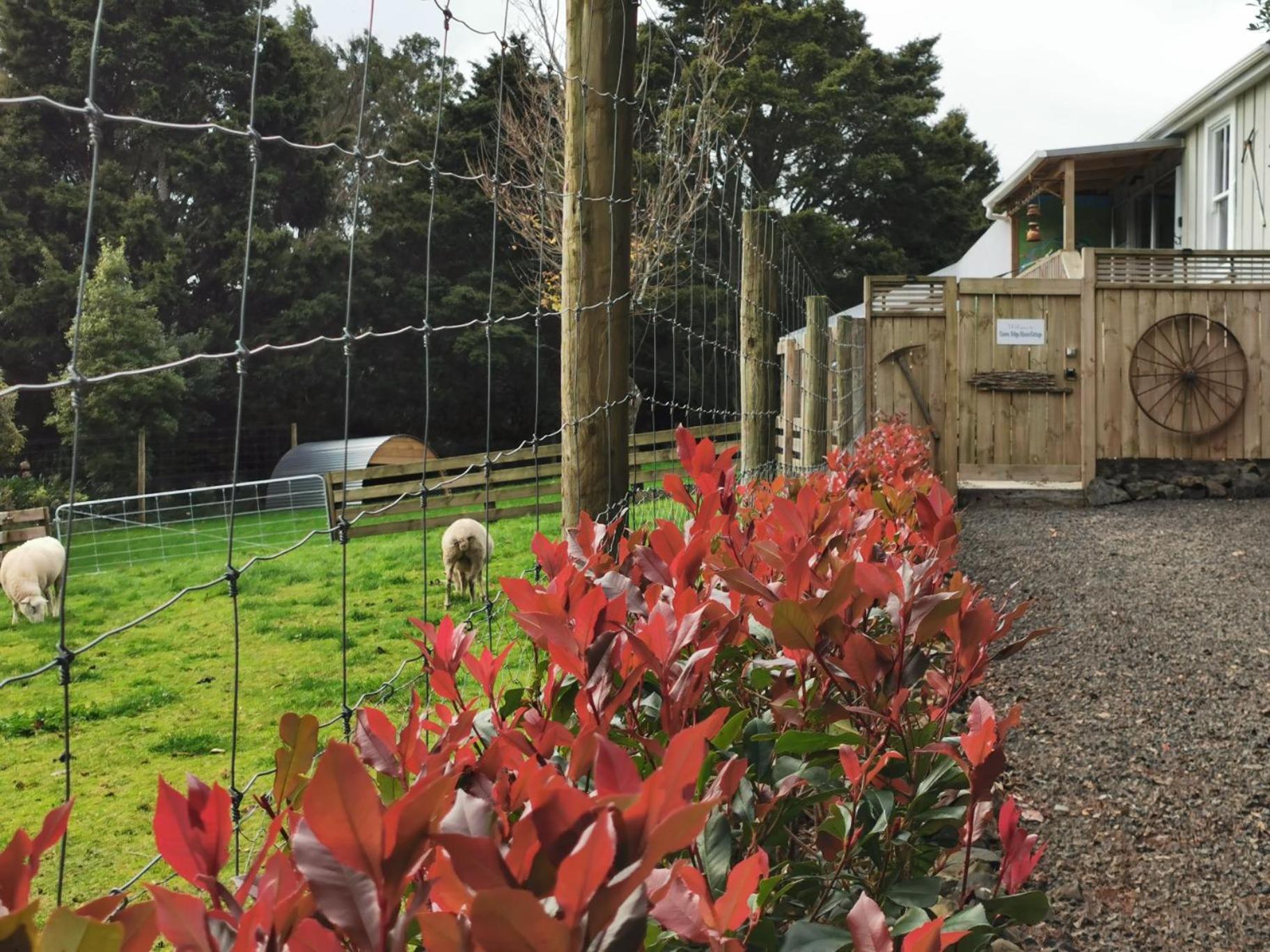 Crown Ridge Miners Cottage Karangahake Екстериор снимка