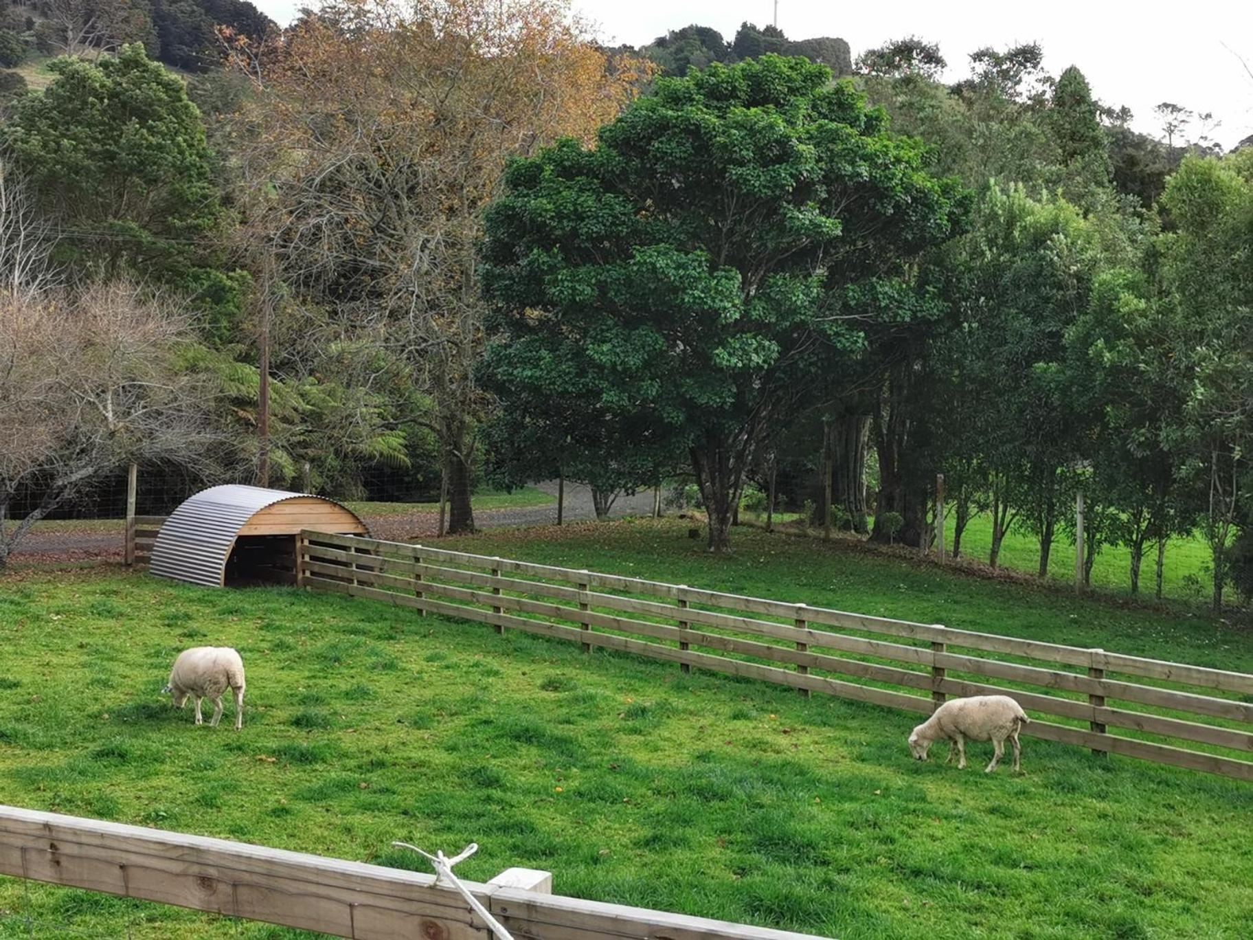Crown Ridge Miners Cottage Karangahake Екстериор снимка